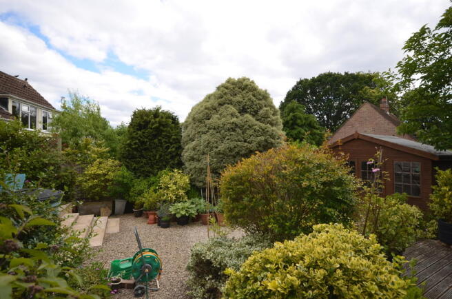 Photo 12