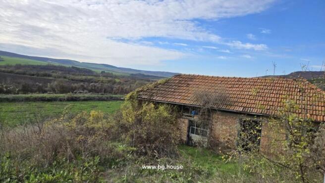 Brick outbuilding with a tiled roof partially covered by vines and surrounded by wild plants