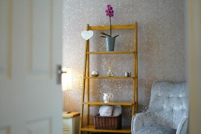 Photograph 50