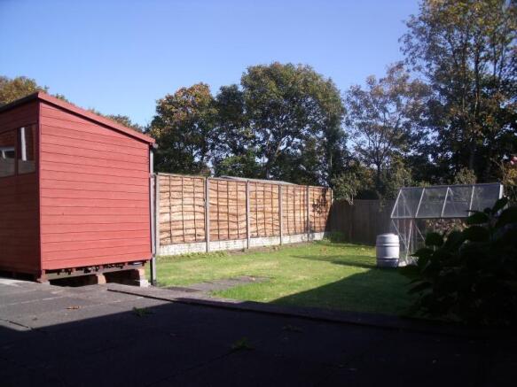 Image 7