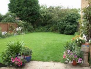 garden