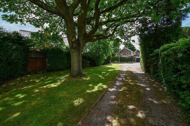 Dalgarth (7)