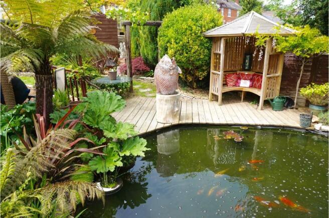 Pond