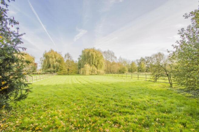 Meadow