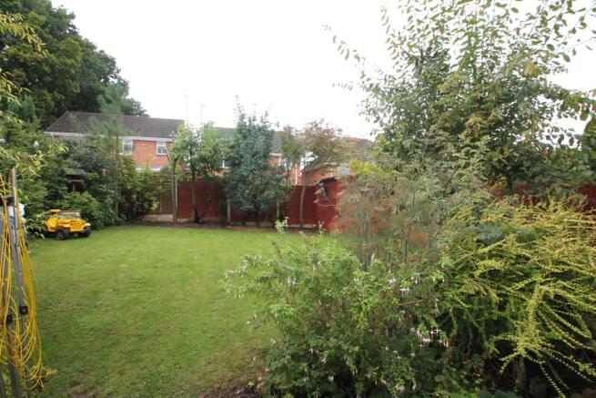thorn close 11 (7).j