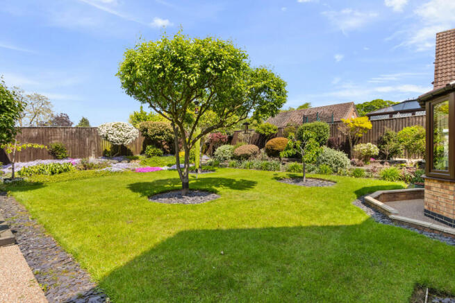 REAR GARDEN 5