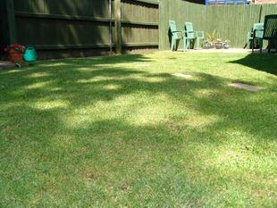 EXTERNAL PHOTO 2