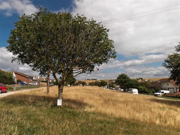 Surrounding Area