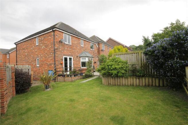 Garden / Rear