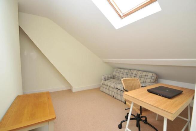 Study Area