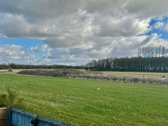 Field Views