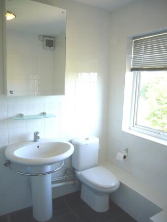 Bathroom shot 2