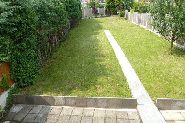 garden