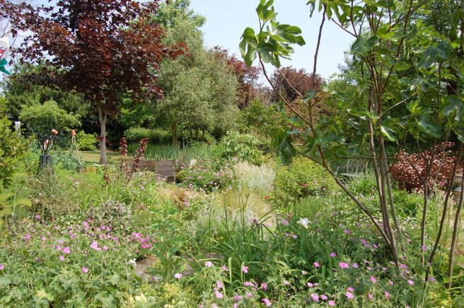 Photo 14