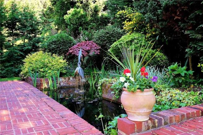 Pond