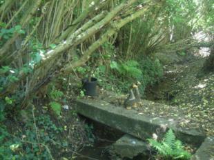 Stream