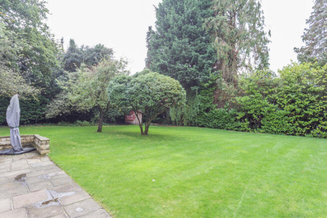 Rear Patio