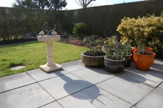 Rear Patio