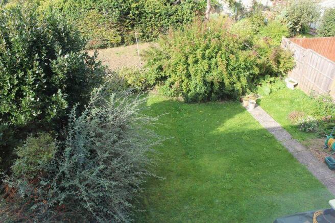 garden from bed 2