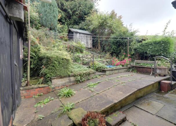 Back garden 1