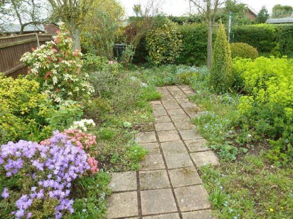 Garden photo 4