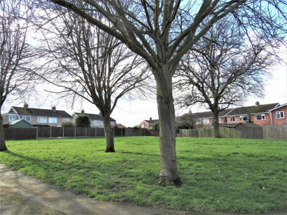Green Area View To Front
