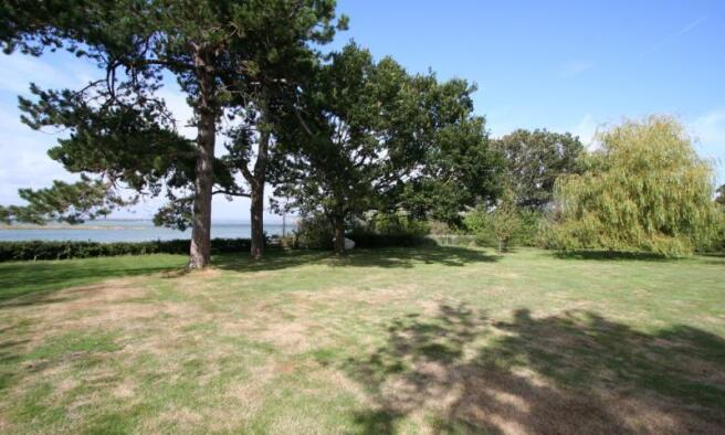 View Through Trees