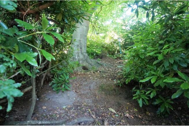 Woodland