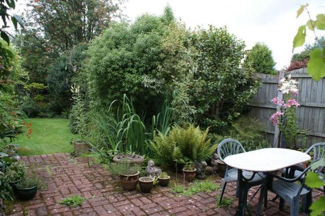 Photo 11