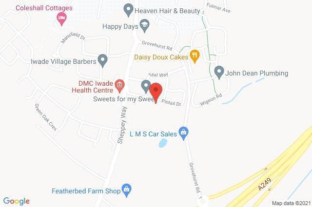 Google Maps Image