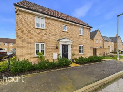 Forsythia Road, Ely