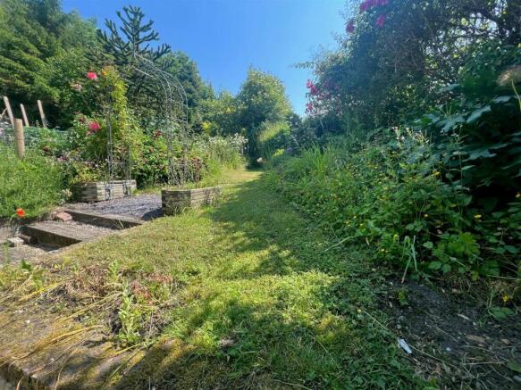Back Garden