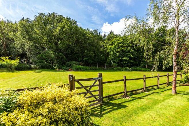 Garden/Meadow