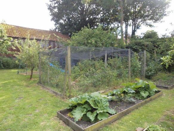 Fruit Garden