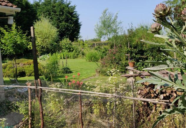 Garden at Back