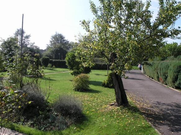 Photo 15