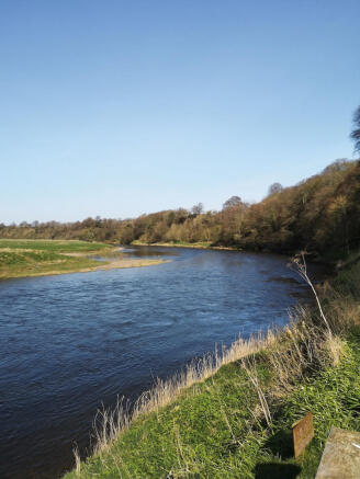 West View River.jpg