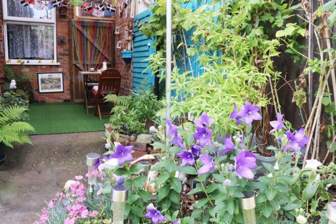 Garden at Back