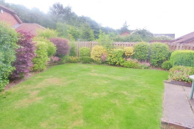 Rear Garden 4