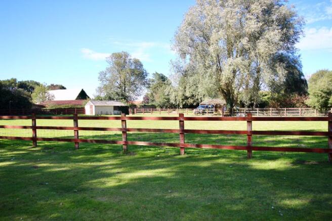 new paddock