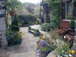 Photo 7