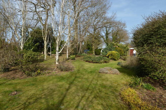 Photo 24