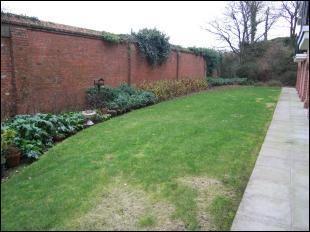 Communal gardens