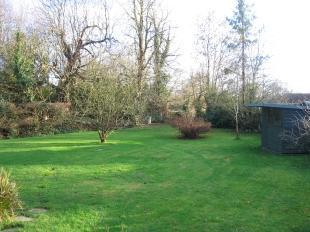 Winter Rear Garden