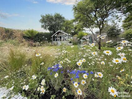 Millands Lane, Kilve