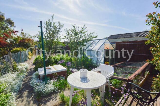 vegetable garden area.jpg