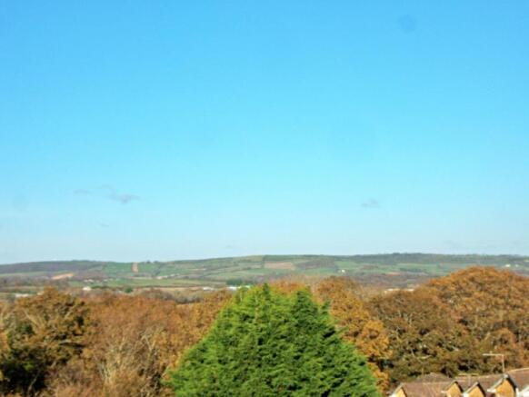 Woodland views 