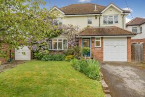 Meadow View, Alton Road, South Warnborough, Hook RG29 1RT