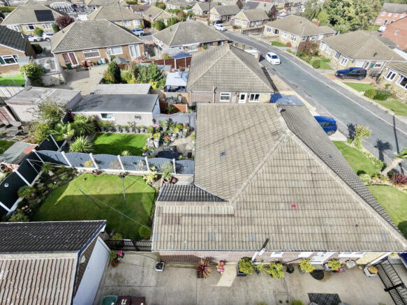 Birds Eye