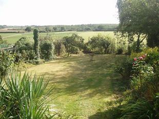 ADDITIONAL GARDEN PHOTO